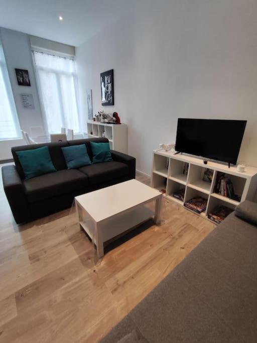 Grand Volume Calme Centre-ville Tan1 * Cambrai